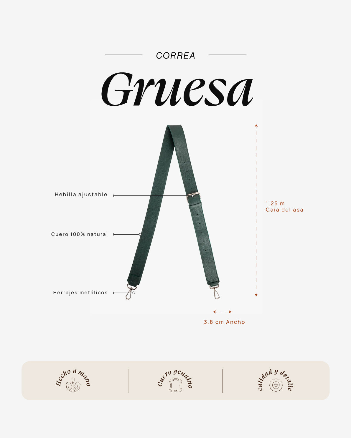 Correa Gruesa Turquesa - Galana