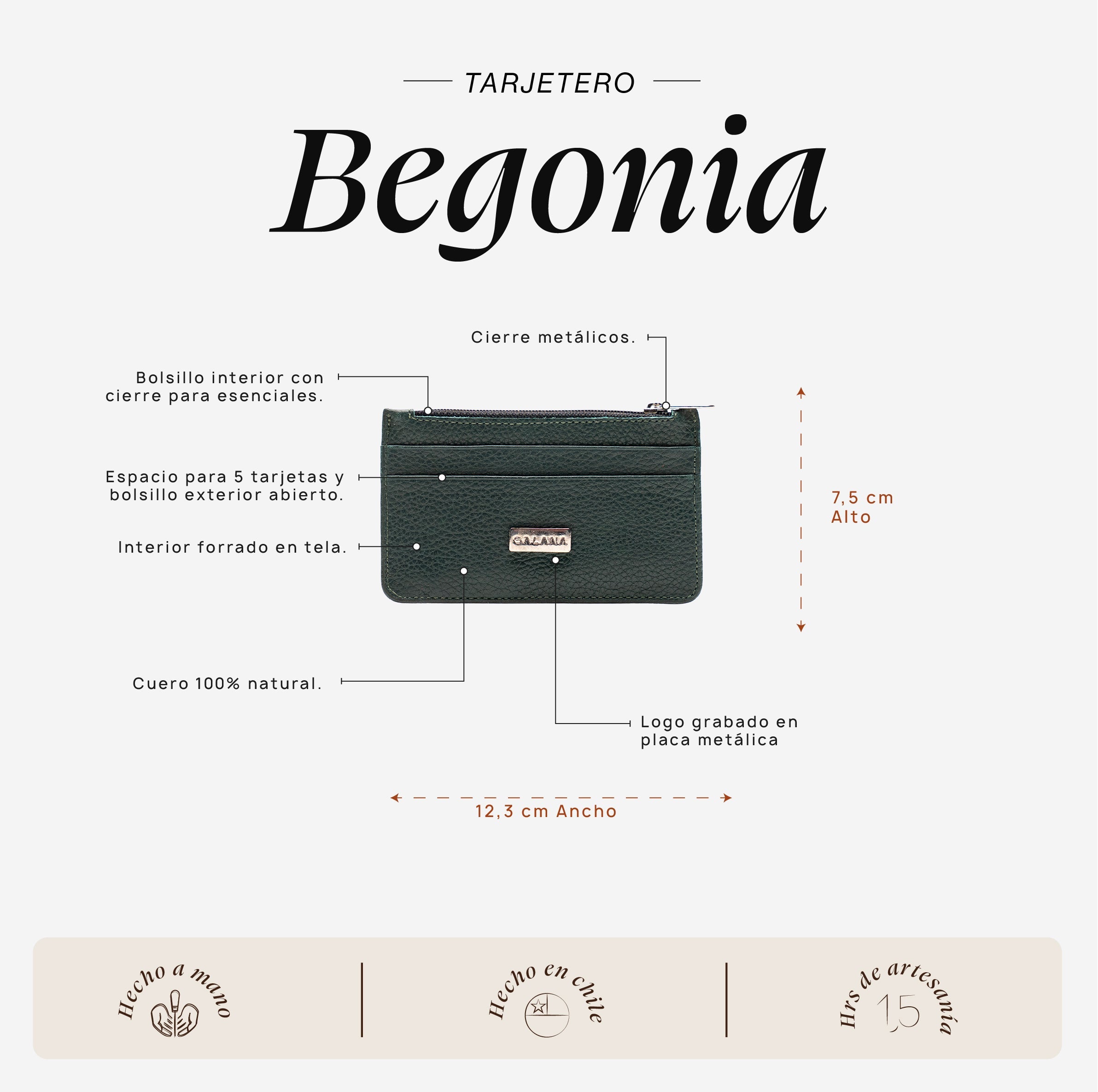 Tarjetero Begonia Turquesa